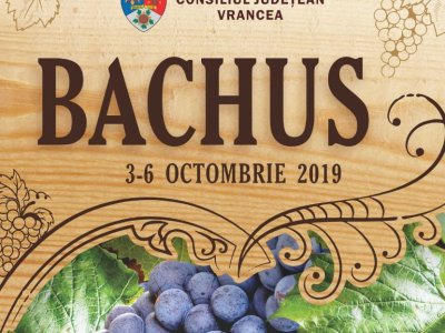 Festivalul Internațional al Viei și Vinului ”Bachus 2019”