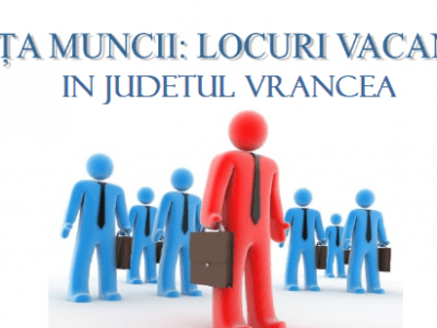 Oferta locurilor de muncă vacante la data de 24.06.2021, în județul Vrancea