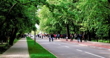 Regulament alocare spații Crângul Petrești pentru evenimentul din 1 iunie 2024 (Ziua Internațională a Copilului)