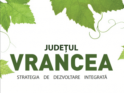 Proiectul „Inovare si Performanta în Administratia Publica  a Consiliului Judetean Vrancea”
