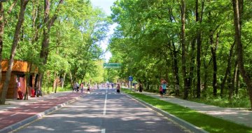 Anunț