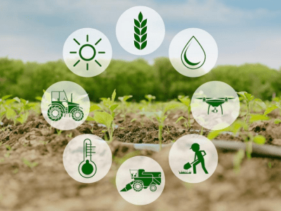Parteneriate europene de clustere pentru sustenabilitate agroalimentară