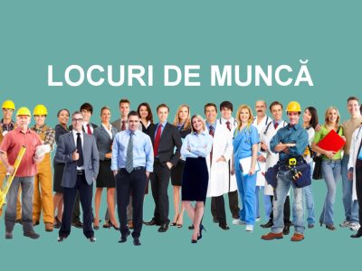 Locuri de muncă vacante la data de 13 februarie 2025 în Județul Vrancea și Uniunea Europeană