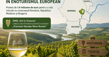 Vrancea își asumă rolul de lider în enoturismul european: Proiect de 1,4 milioane de euro pentru o rută viticolă transnațională