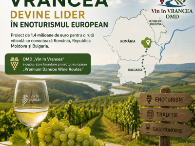 Vrancea își asumă rolul de lider în enoturismul european: Proiect de 1,4 milioane de euro pentru o rută viticolă transnațională